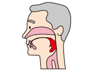 飲み込む（咽頭期）