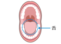 舌のこと、知っていますか？