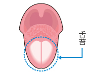 唇の内側にはこんな汚れがたまります