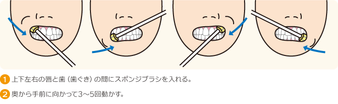 口腔内ストレッチの方法（唇）