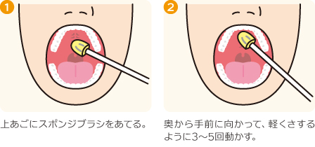 口腔内ストレッチの方法（上あご）