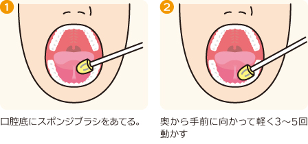 口腔内ストレッチの方法（下あご）